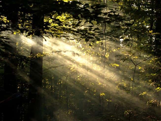 Psihoterapeut Beograd - Emilija Milisavljević